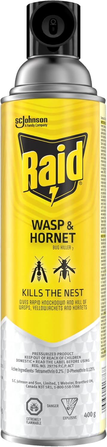 RAID WASP&HORNET KILLER 400G AEROSOL pack of 12