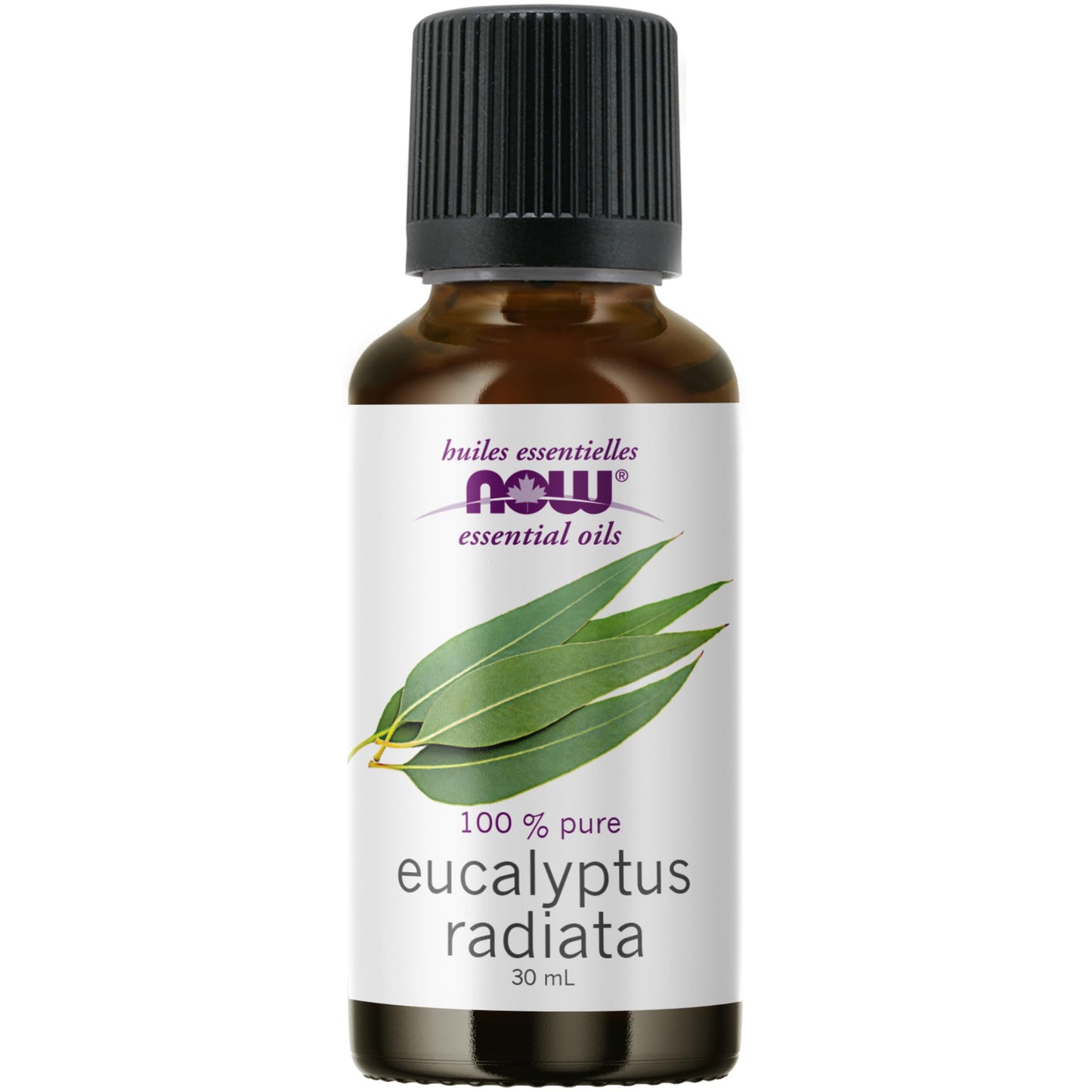 NOW    Eucalyptus Radiata Oil (Eucalyptus radiata)30mL