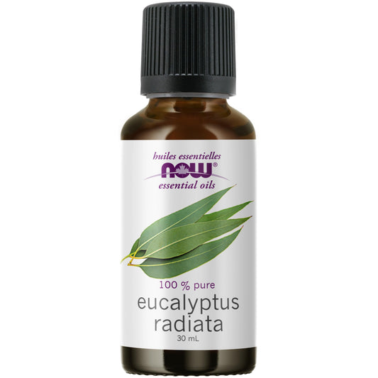 NOW    Eucalyptus Radiata Oil (Eucalyptus radiata)30mL