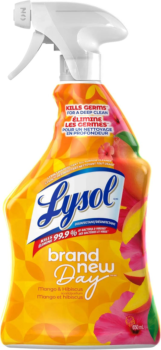 LYSOL ALL PURPOSE CLEANER MANGO&HIBISCUS 650ML pack of 12