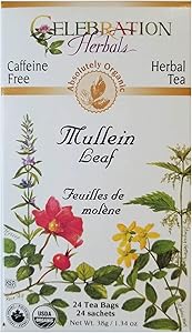 CHTea - Mullein ORG 24TB