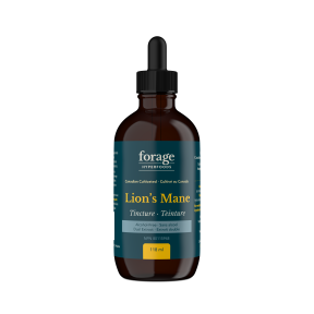 Forage Hyperfoods   Lion's Mane Tincture - Alcohol Free 118ml