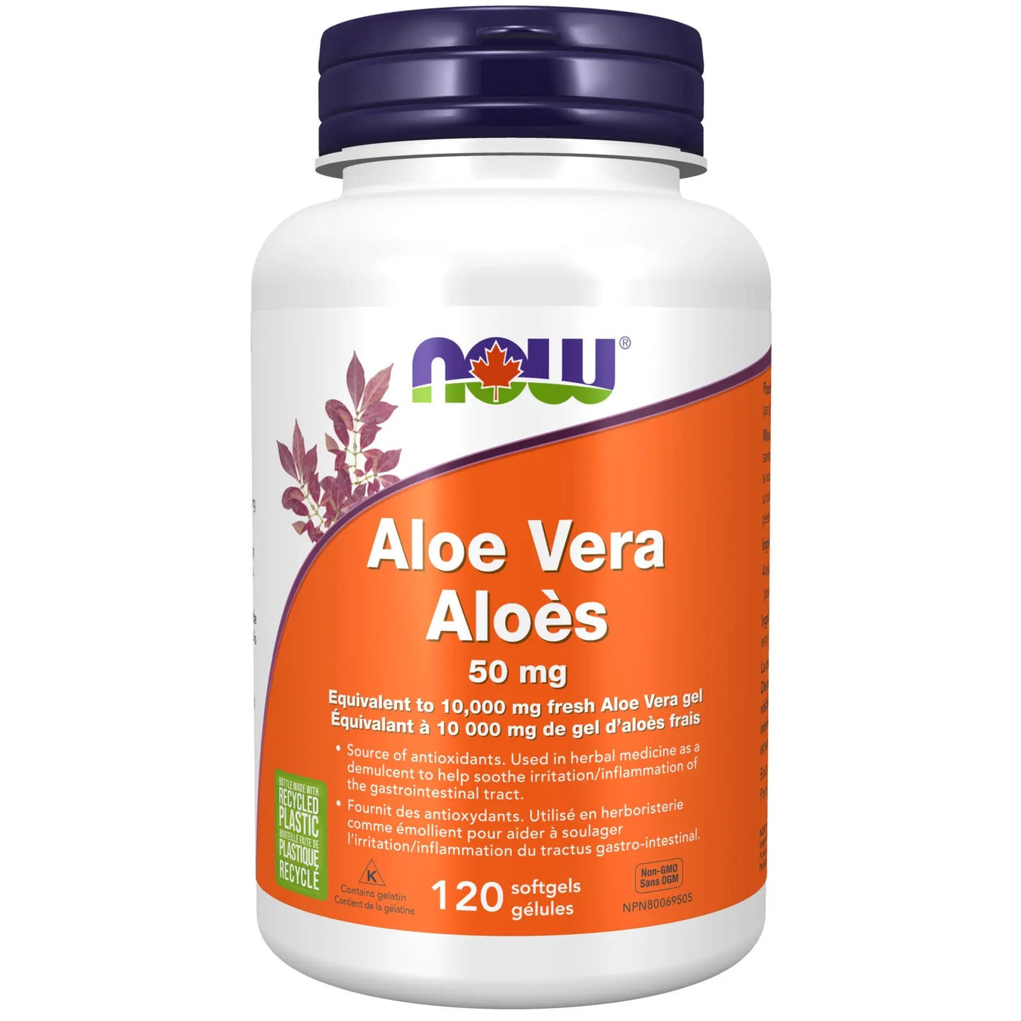 NOW    Aloe Vera Concentrate 50mg 120gel