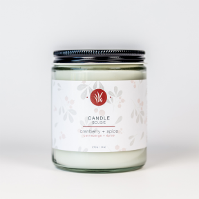 All Things Jill   Cranberry + Spice Candle 210g