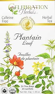 CHTea - Plantain ORG 24TB