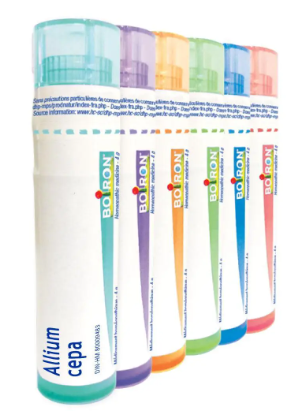 Allium cepa  6 CH
