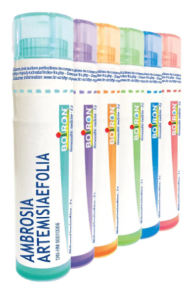 Ambrosia Artemisiaefolia  6 CH