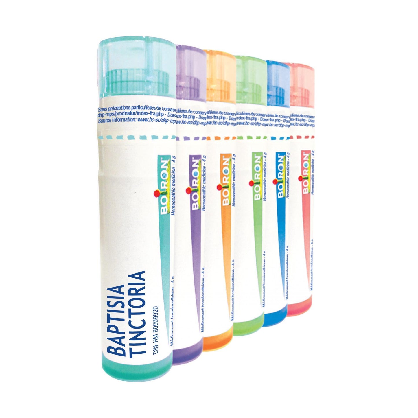 Baptisia Tinctoria 200CH