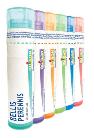 Bellis Perennis  30 CH