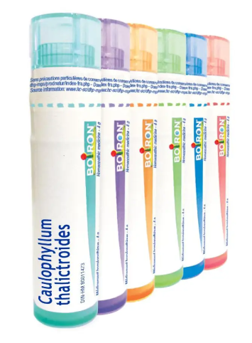 Caulophyllum Thalictroides  6 CH