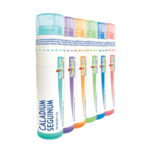 CALADIUM SEGUIN 3CH 30ml