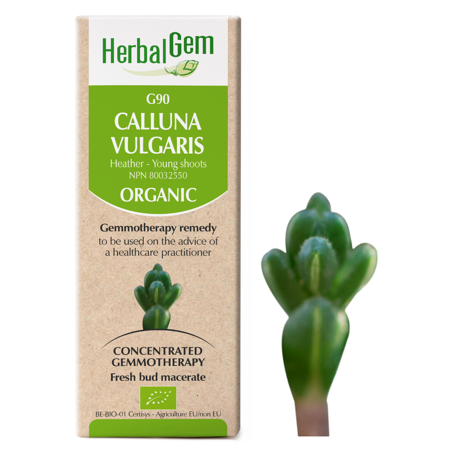 HerbalGem - Calluna vulgaris - 30 ml