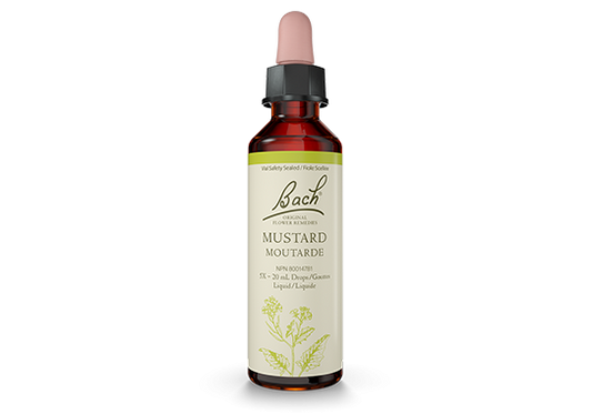 BACH    Mustard 20mL