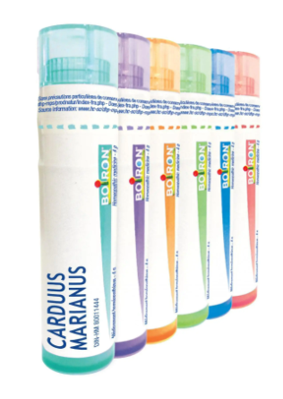 Carduus Marianus  200 CH