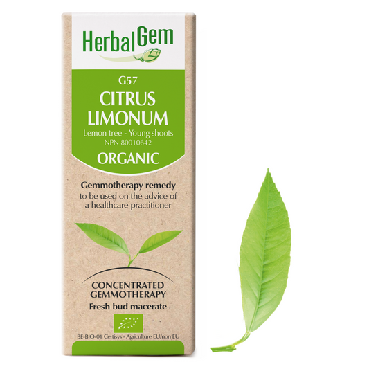 HerbalGem - Citrus limonum - 30 ml