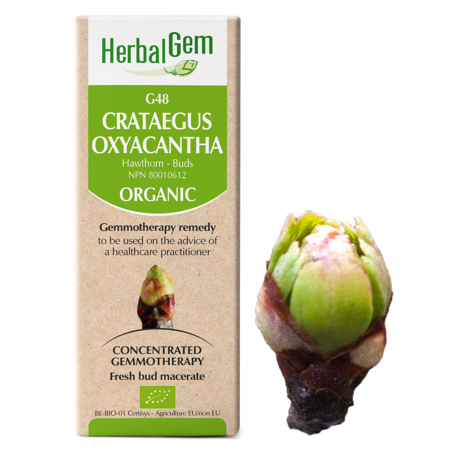 HerbalGem - Crataegus oxyacantha - 30 ml