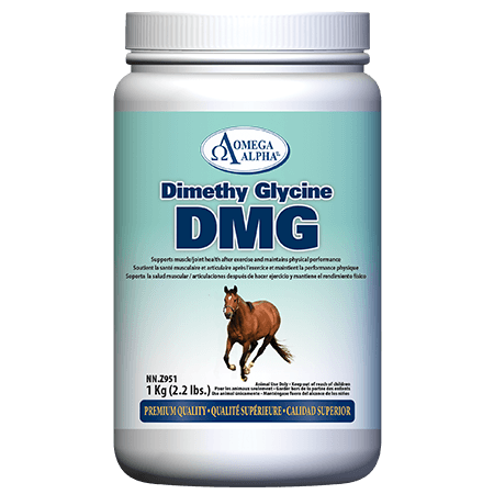 Omega Alpha   Dimethyl Glycine (DMG)   1 kg / 2.2 lbs