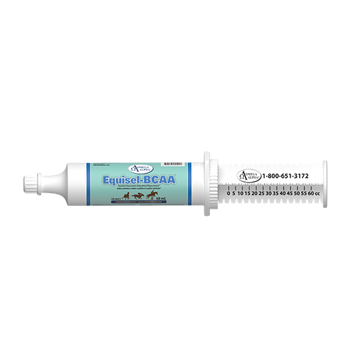 Omega Alpha   Equisel-BCAA™   60 mL / 2 oz / Syr