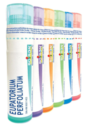 Eupatorium Perfoliatum  1 M