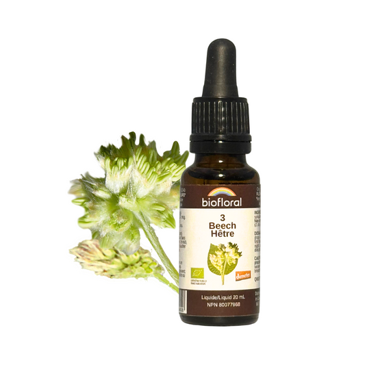 Biofloral - Beech - 20 ml