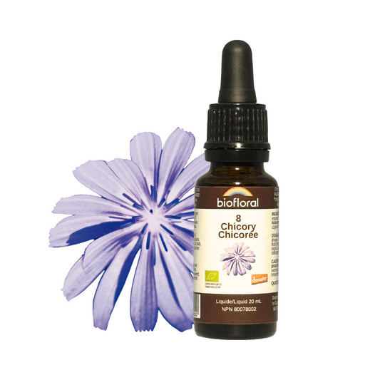 Biofloral - Chicory - 20 ml