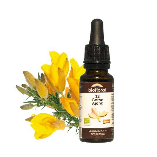 Biofloral - Gorse - 20 ml