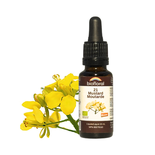 Biofloral - Mustard - 20 ml