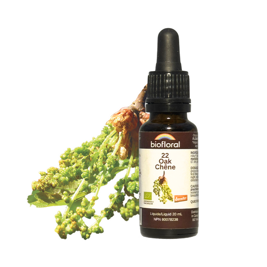Biofloral - Oak - 20 ml