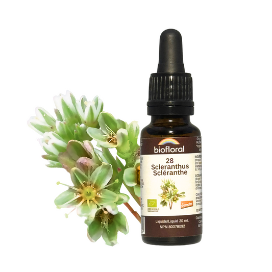 Biofloral - Scleranthus - 20 ml