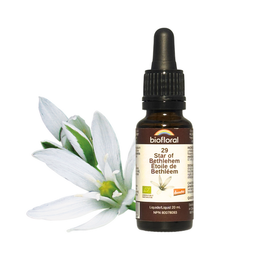 Biofloral - Star of Bethlehem - 20 ml