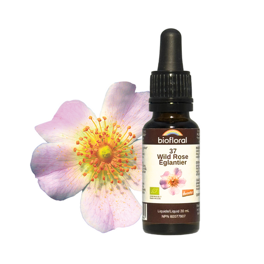 Biofloral - Wild Rose - 20 ml