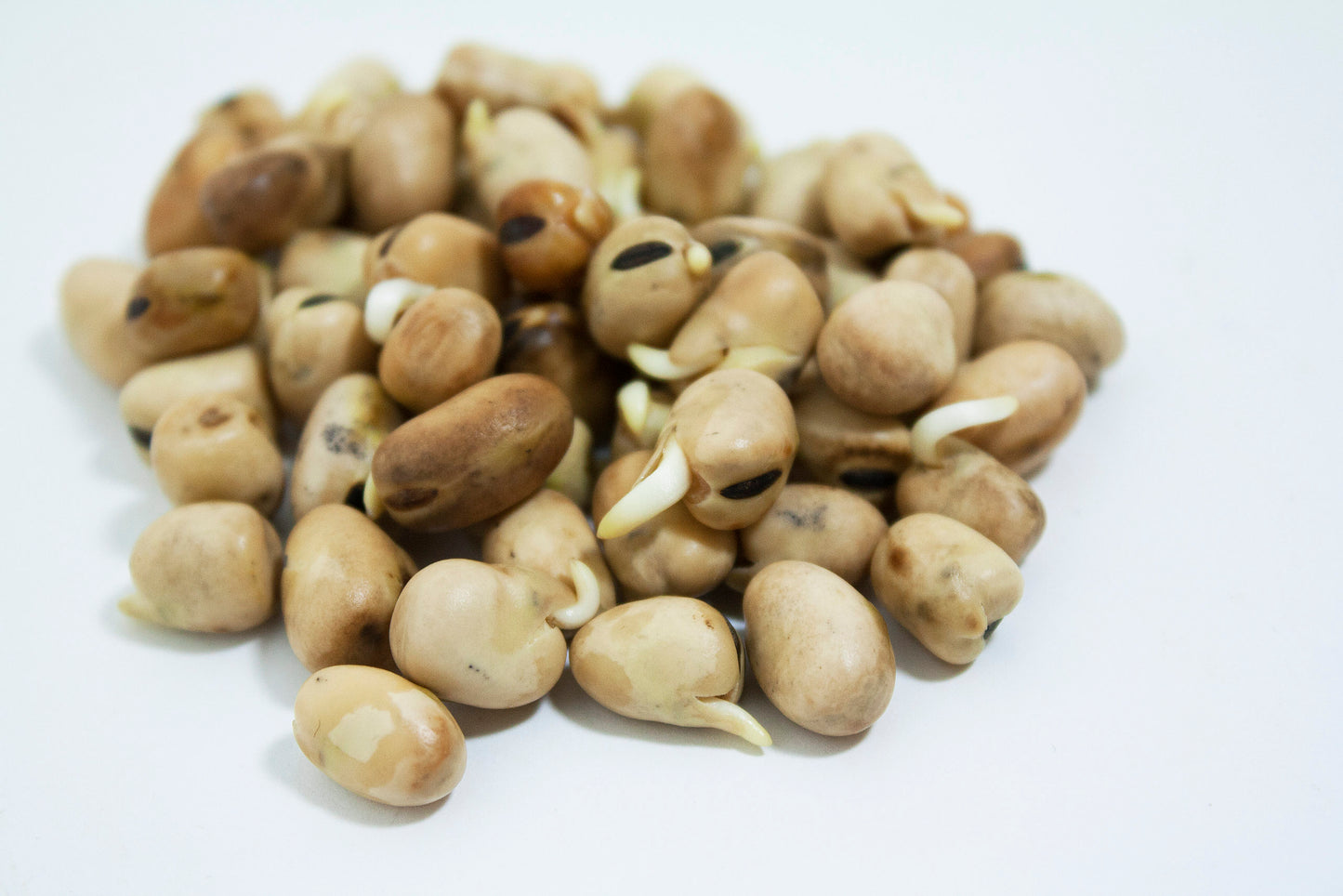 Mumm's Sprouting Seeds   Fava Beans 125g