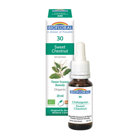 Biofloral - Sweet Chestnut - 20 ml