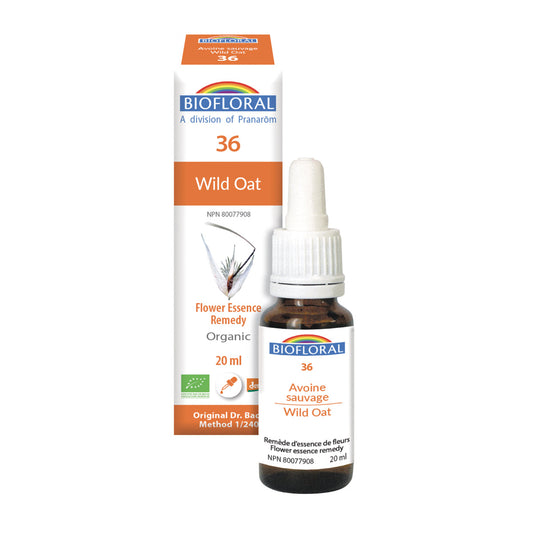 Biofloral - Wild Oat - 20 ml