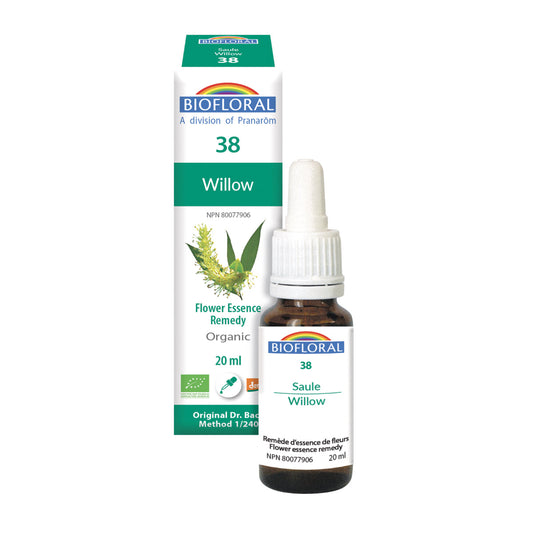 Biofloral - Willow - 20 ml