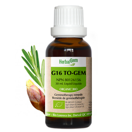 HerbalGem - G16 TO-GEM - 30 ml