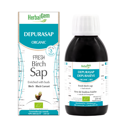 HerbalGem - G20 Depurasap - 250 ml