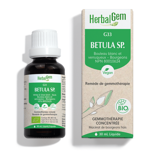 HerbalGem - Betula sp. - 30 ml