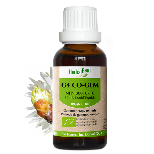 HerbalGem - G4 CO-GEM - 30 ml