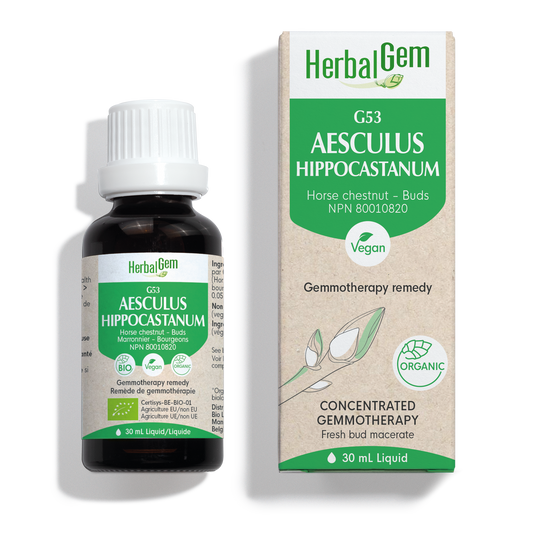 HerbalGem - Aesculus hippocastanum - 30 ml