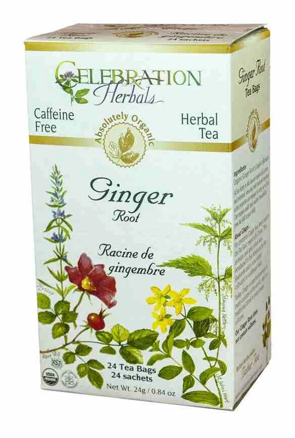 CHTea - Ginger ORG 24TB