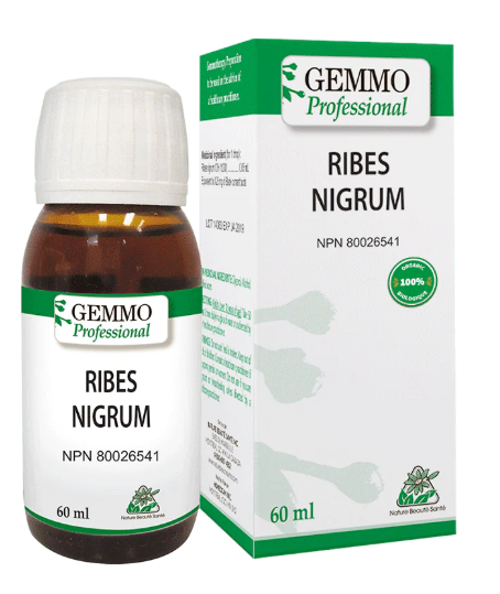 ORGANIC GEMMOTHERAPY    Ribes Nigrum BIO    60 ml