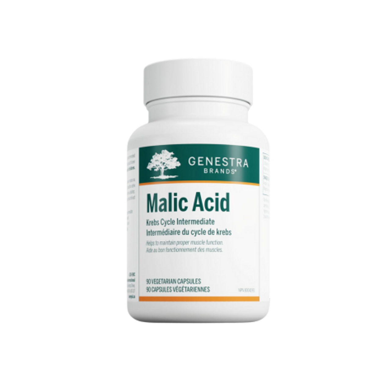 GENESTRA_Malic Acid _90 caps 