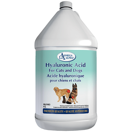 Omega Alpha   Hyaluronic Acid for Cats and Dogs
   4 L