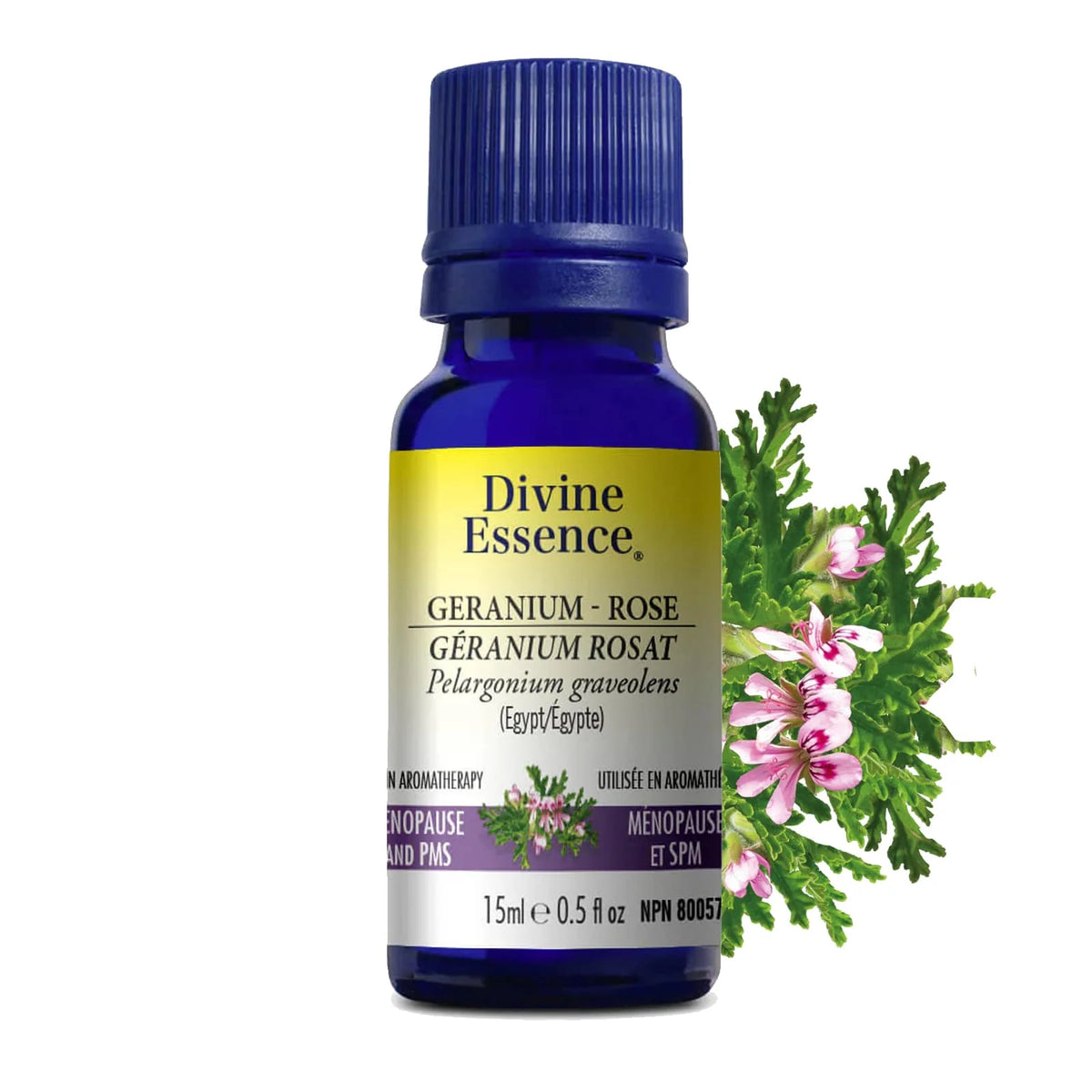 Divine Essence - Geranium Rose (Egypt) (Conv) - 15ml