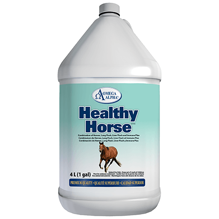 Omega Alpha   Healthy Horse™   4 L / 1 Gal
