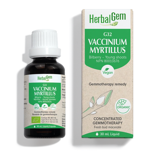 HerbalGem  Vaccinium myrtillus  30 ml