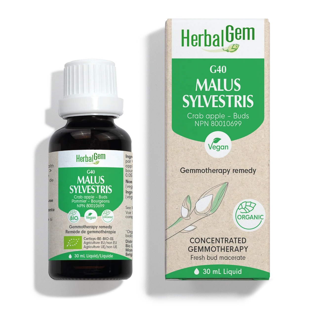 HerbalGem  Malus sylvestris  30 ml