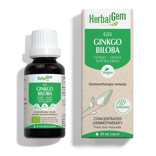 HerbalGem Ginkgo biloba  30ml