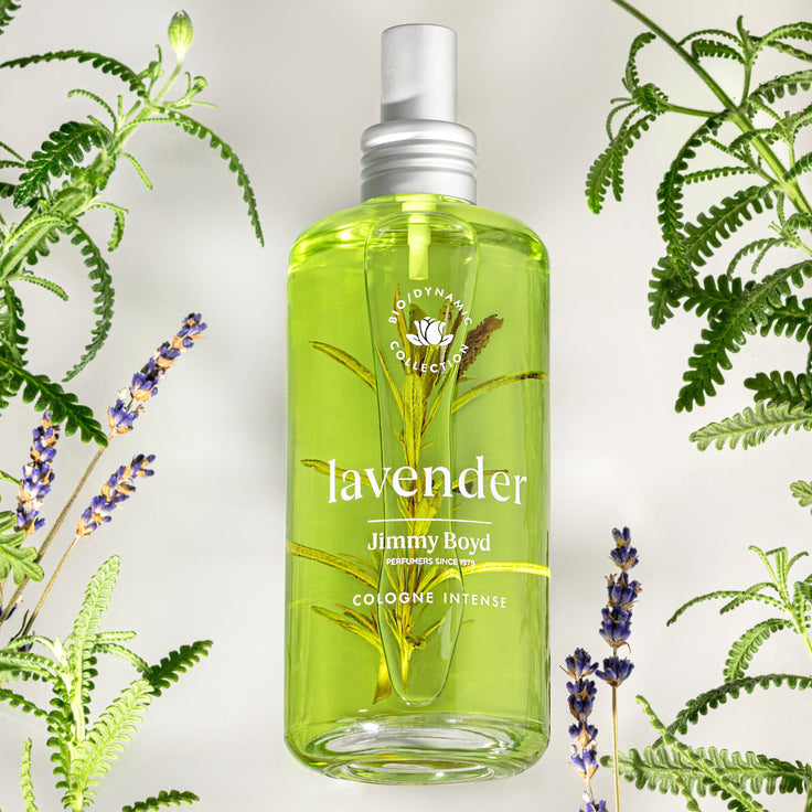 Jimmy Boyd   Fresh Fragrance LAVENDER 200mL